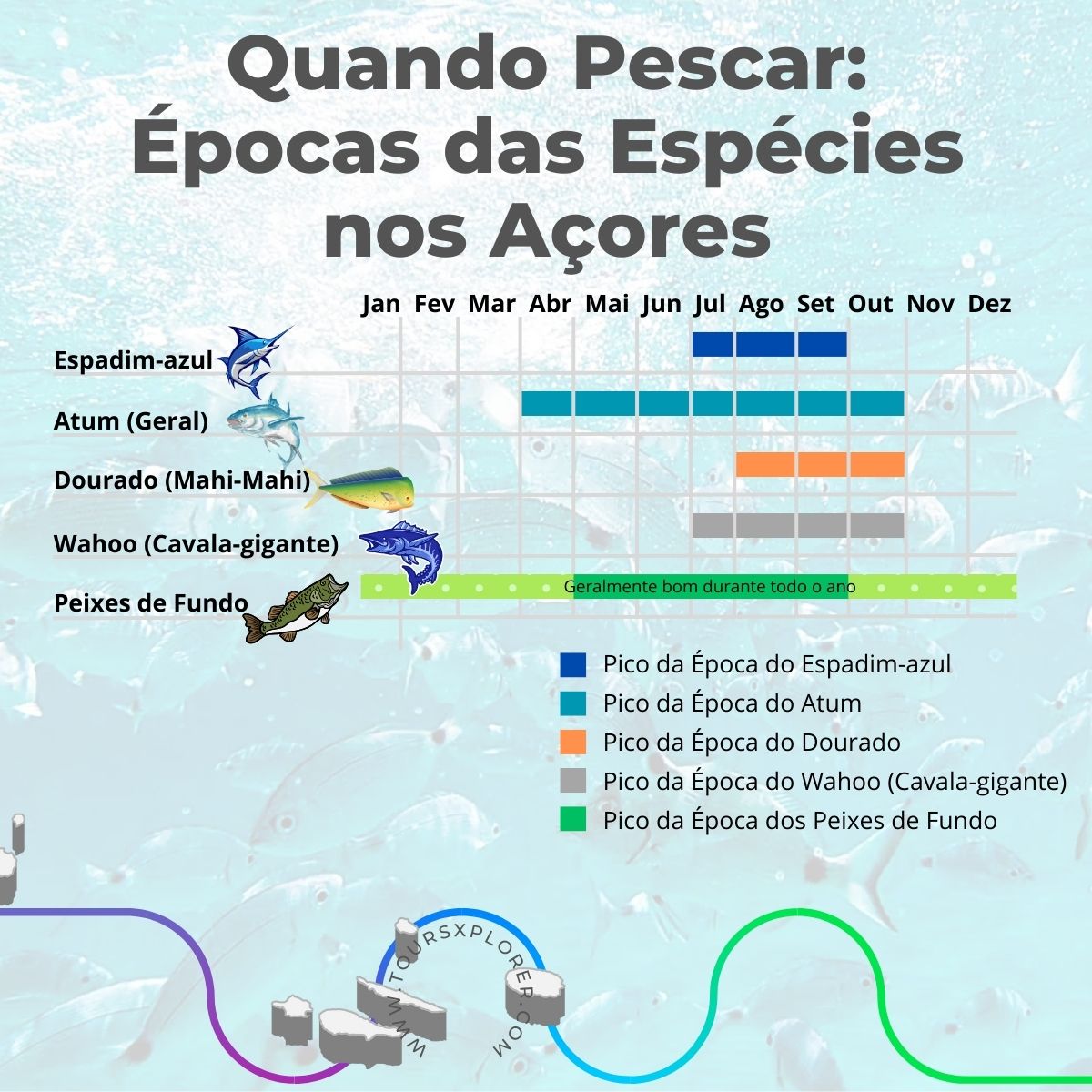 Melhores épocas de pesca para as diferentes espécies nos Açores.