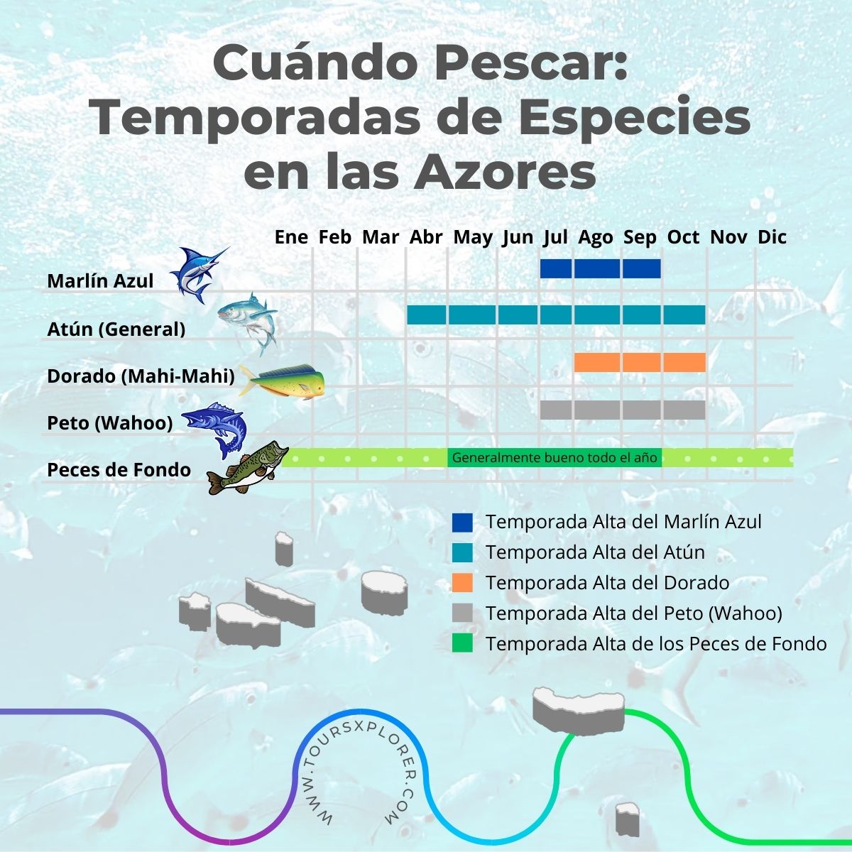 Mejores temporadas de pesca para diferentes especies en las Azores.
