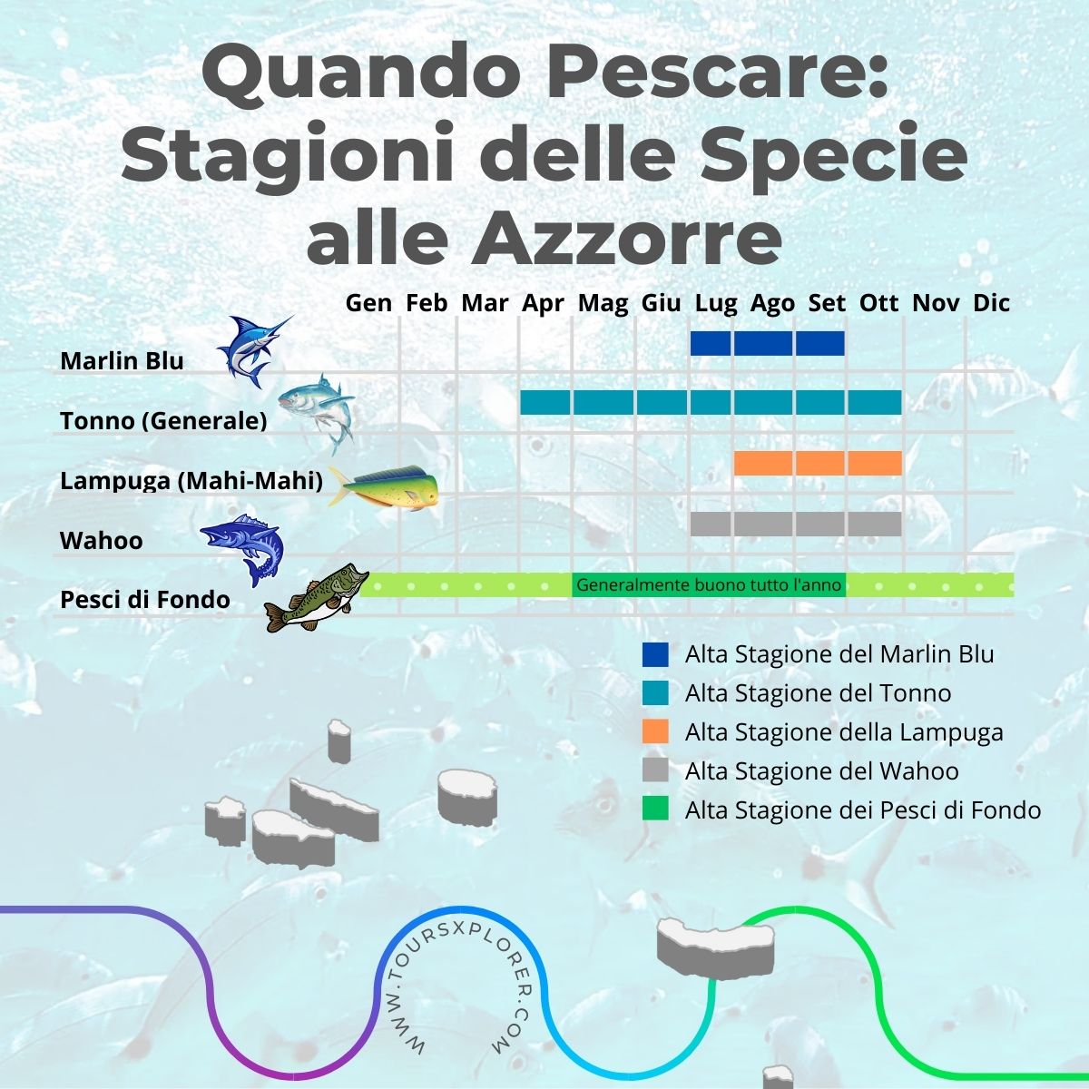 Le migliori stagioni di pesca per le diverse specie alle Azzorre.