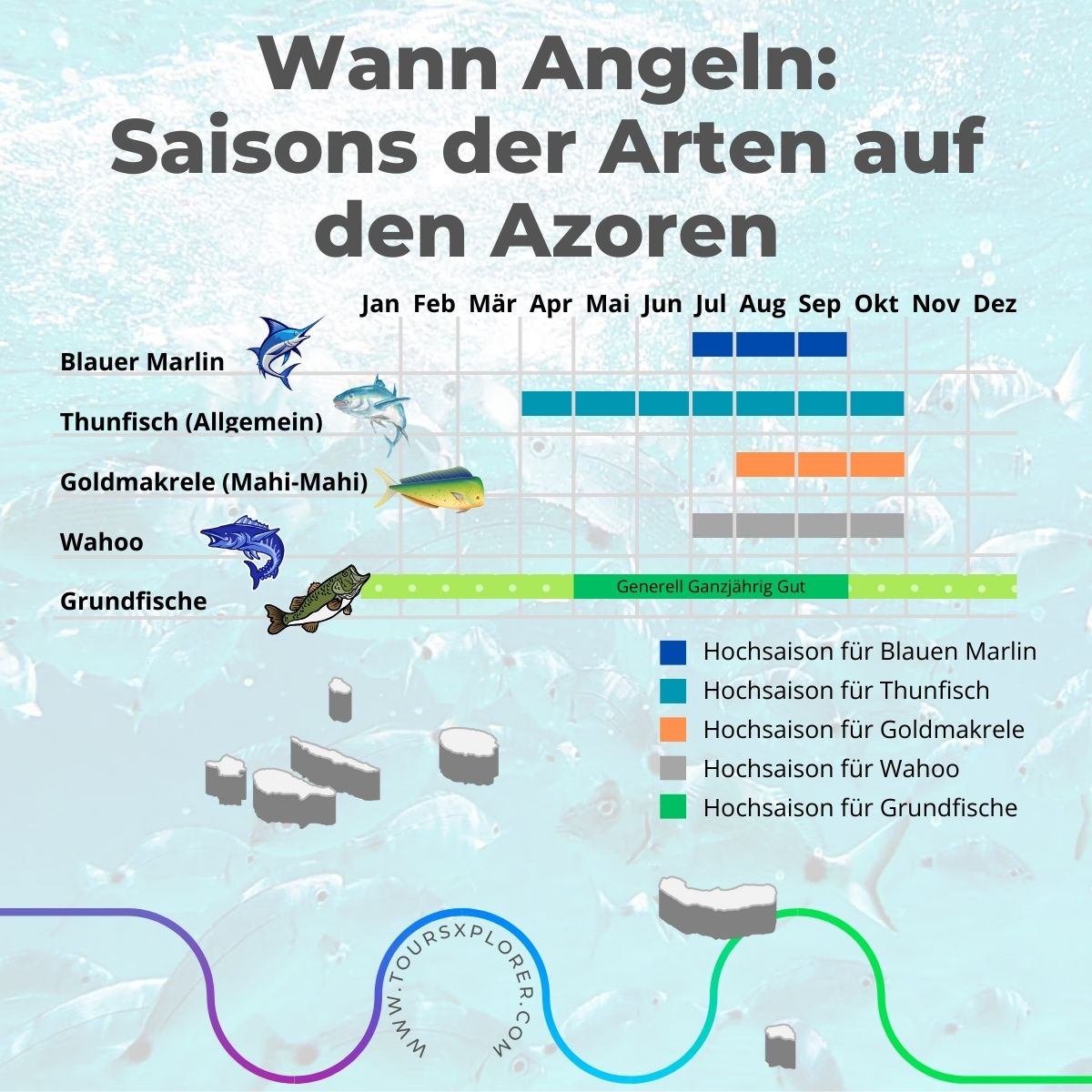Beste Angelzeiten für verschiedene Arten auf den Azoren.