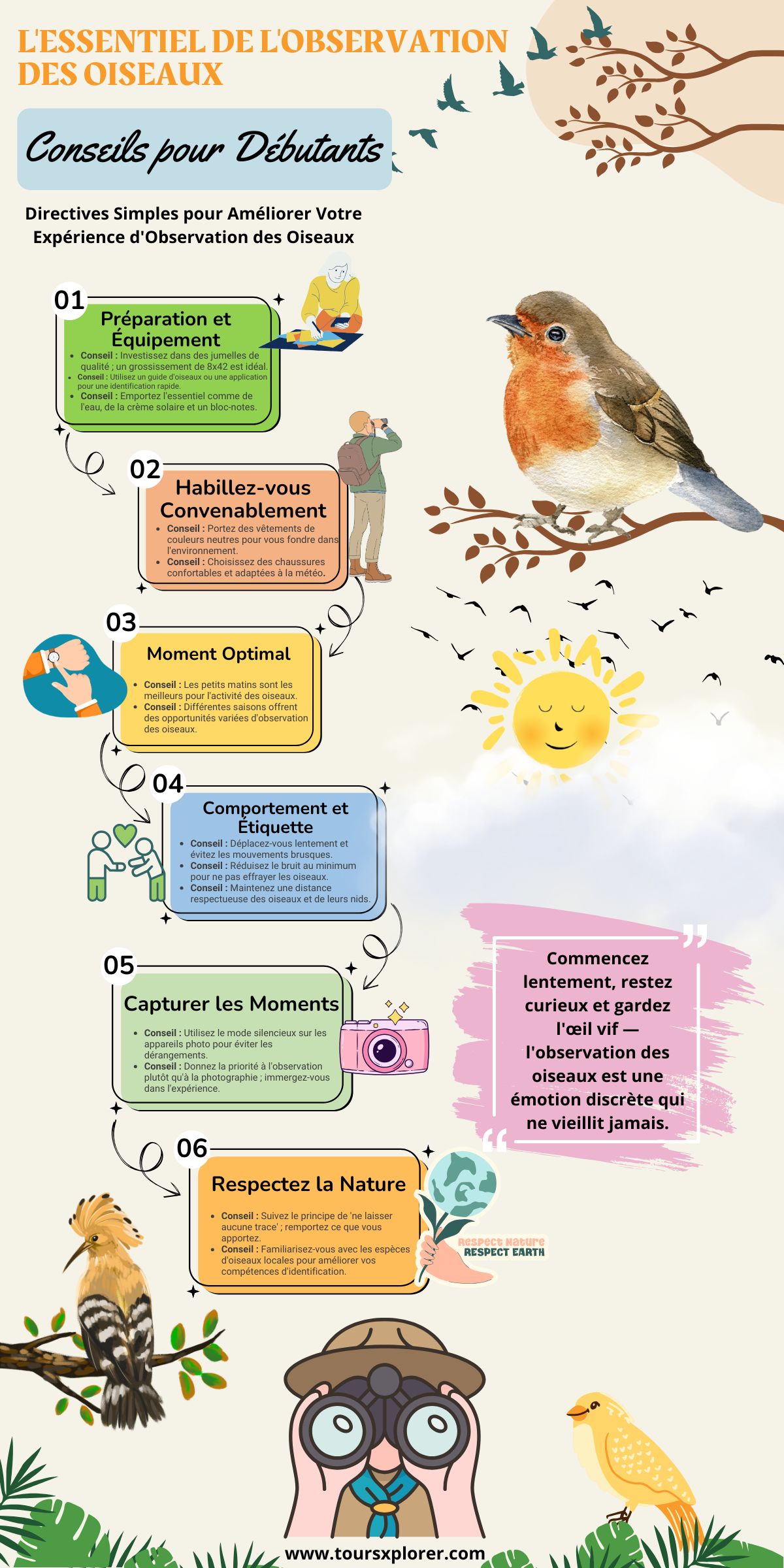 Infographie détaillant les meilleurs conseils pour les ornithologues amateurs novices.