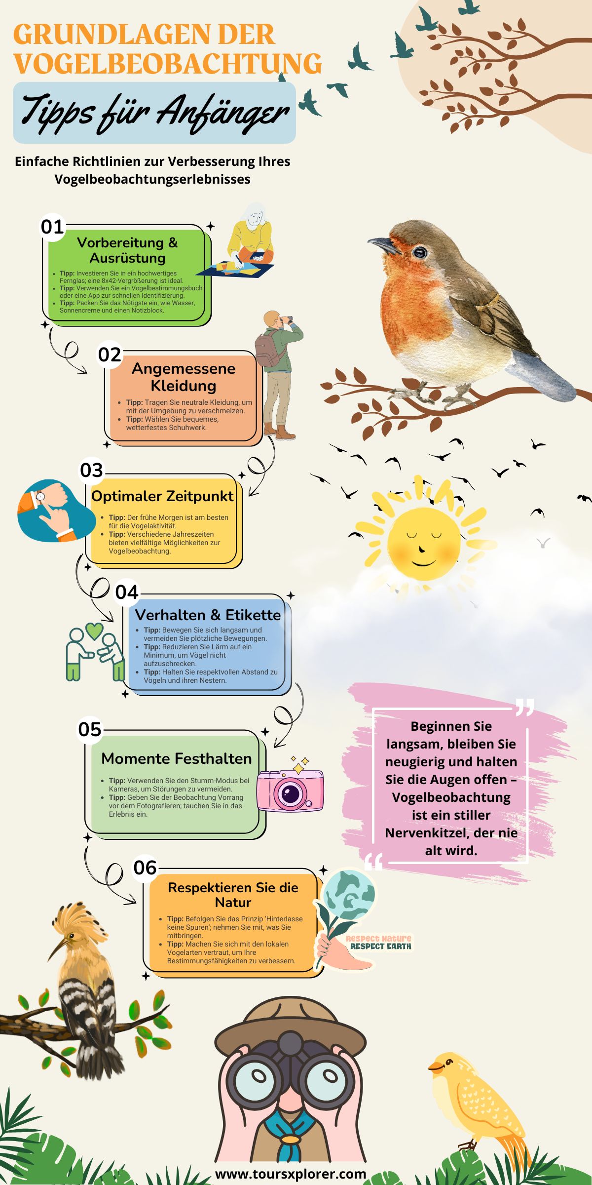 Infografik mit Top-Tipps für Vogelbeobachter-Anfänger.