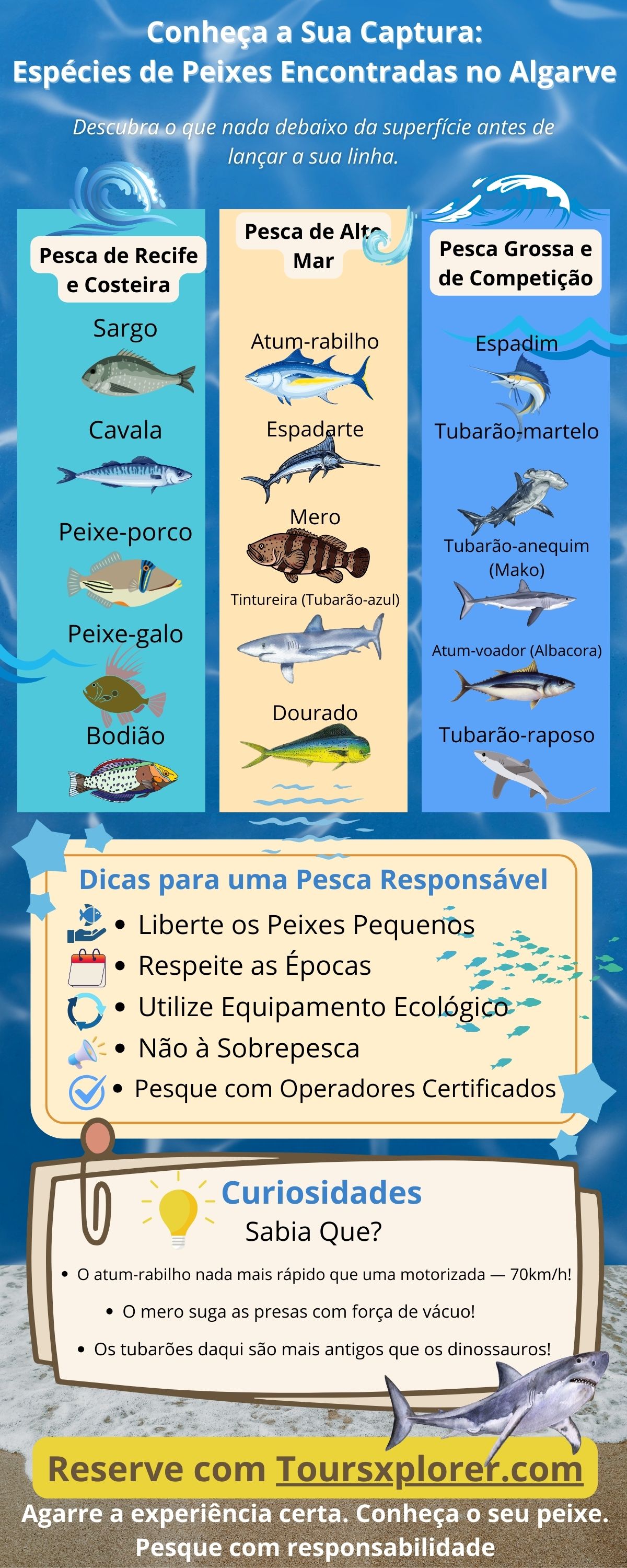 Infografia que mostra várias espécies de peixes encontradas nas águas do Algarve