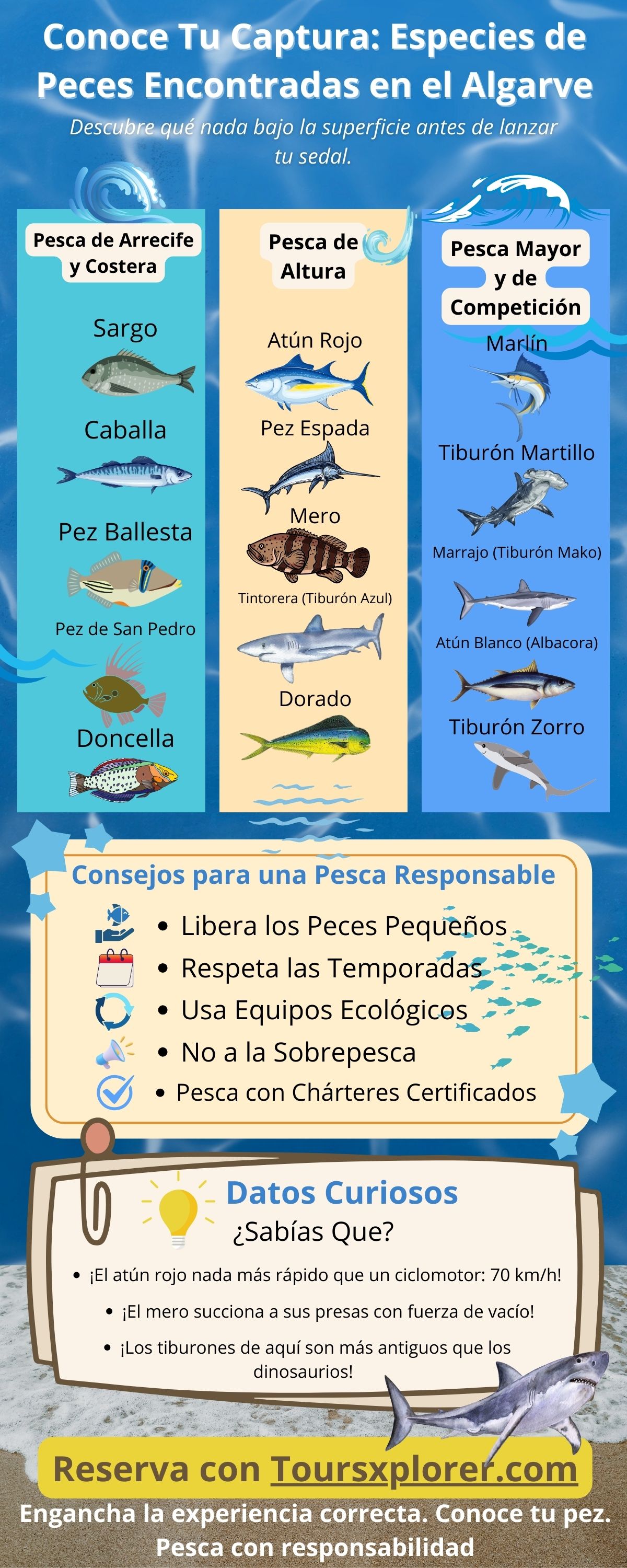 Infografía que muestra diversas especies de peces que se encuentran en las aguas del Algarve.