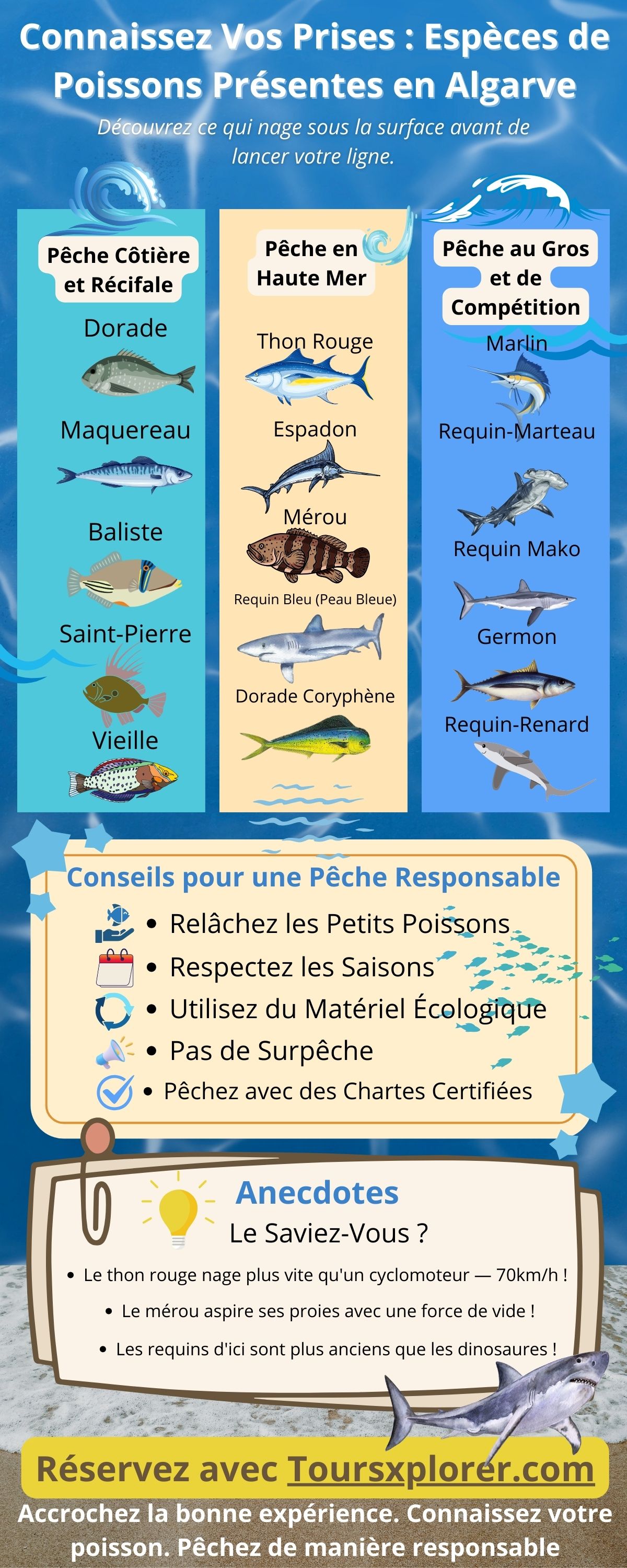 Infographie présentant diverses espèces de poissons trouvées dans les eaux de l'Algarve