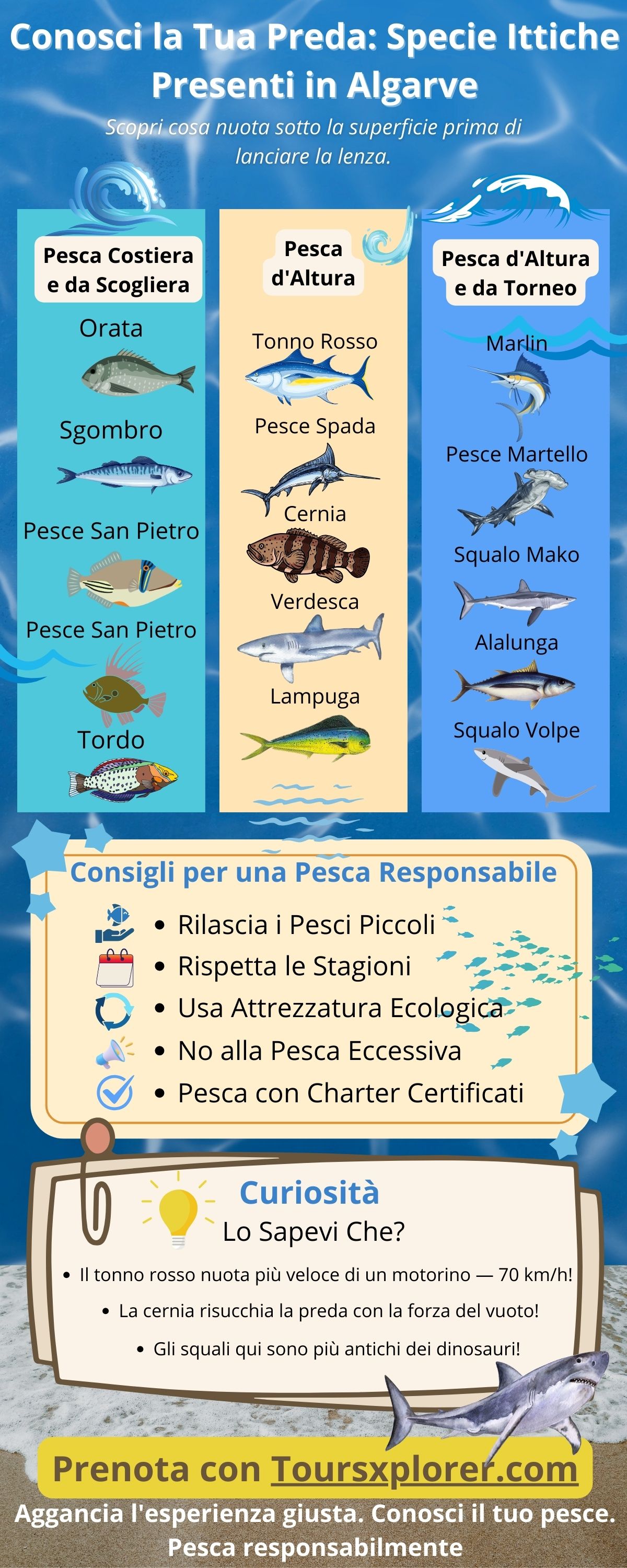 Infografica che mostra le varie specie di pesci presenti nelle acque dell'Algarve