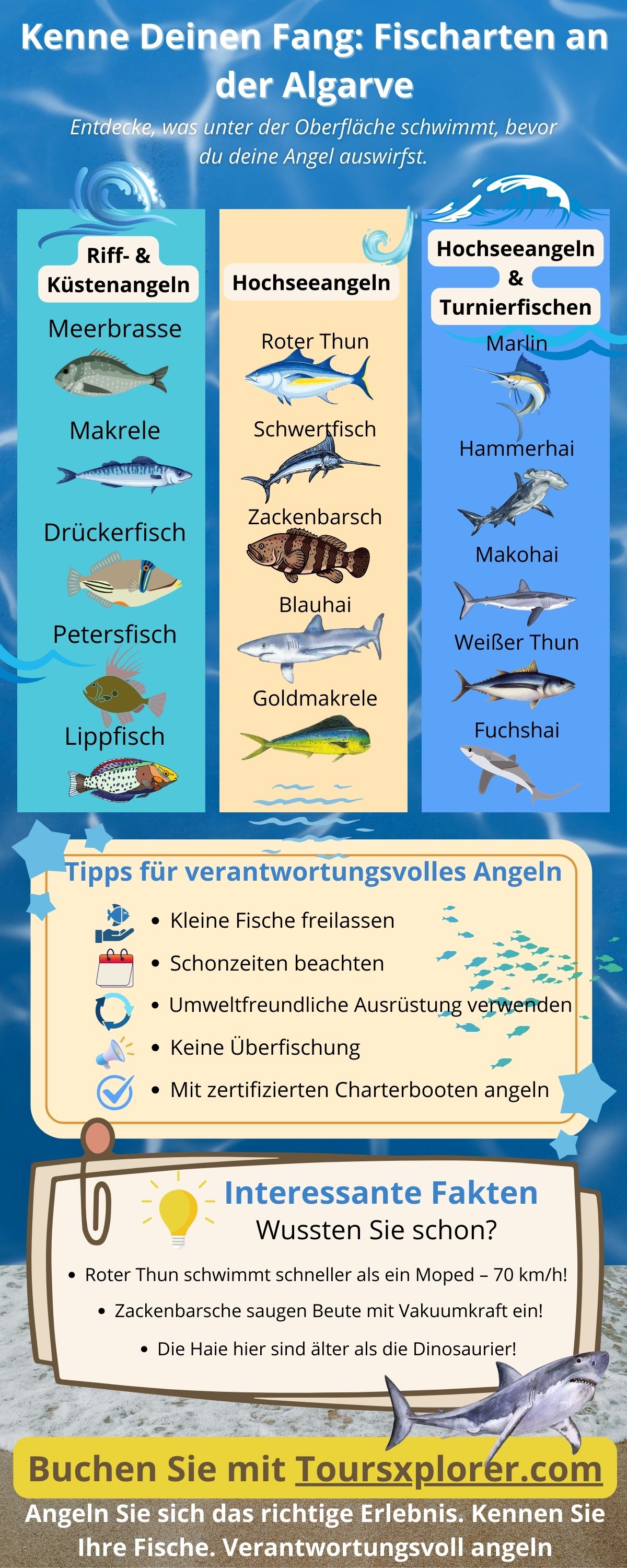 Infografik mit verschiedenen Fischarten, die in den Gewässern der Algarve vorkommen