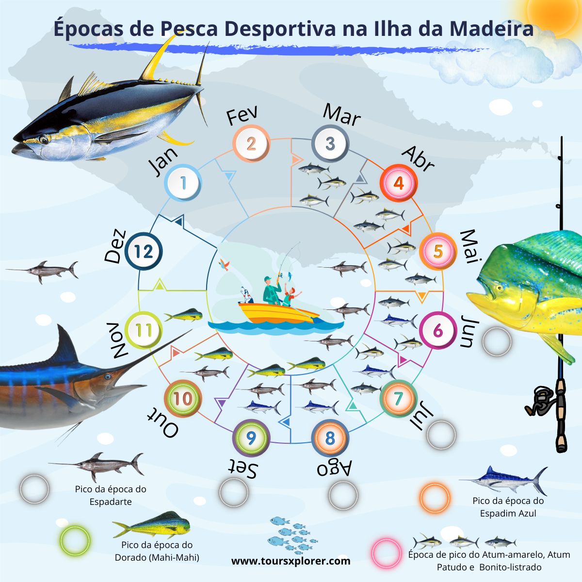 Infografia de apresentação das épocas de pesca e espécies da Madeira