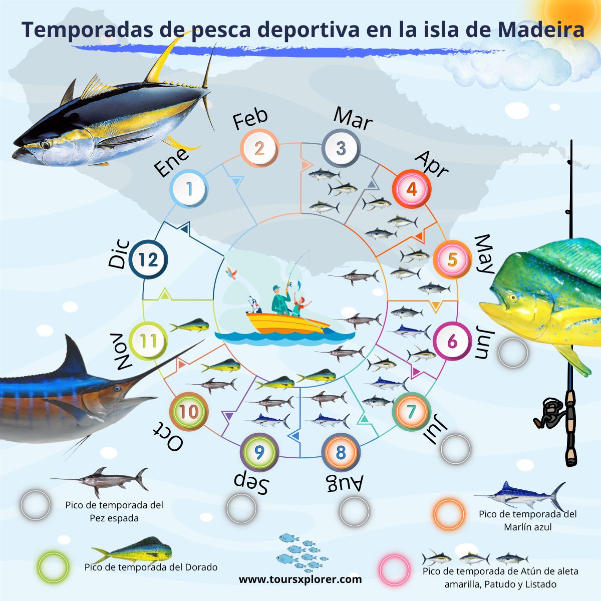 Infografía que muestra las temporadas y especies de pesca de Madeira