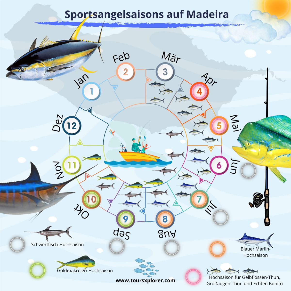 Infografik zu den Angelsaisons und Fischarten auf Madeira