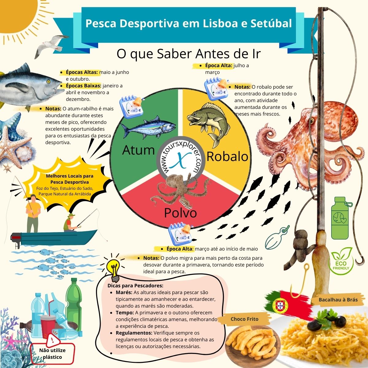 Infografia com as melhores épocas de pesca em Lisboa e Setúbal