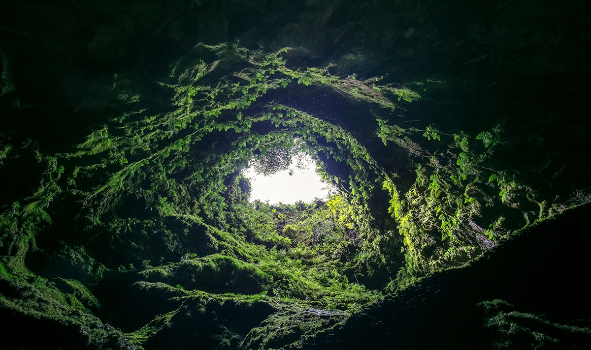 Inside the Algar do Carvão volcanic cave with light entering from the top.