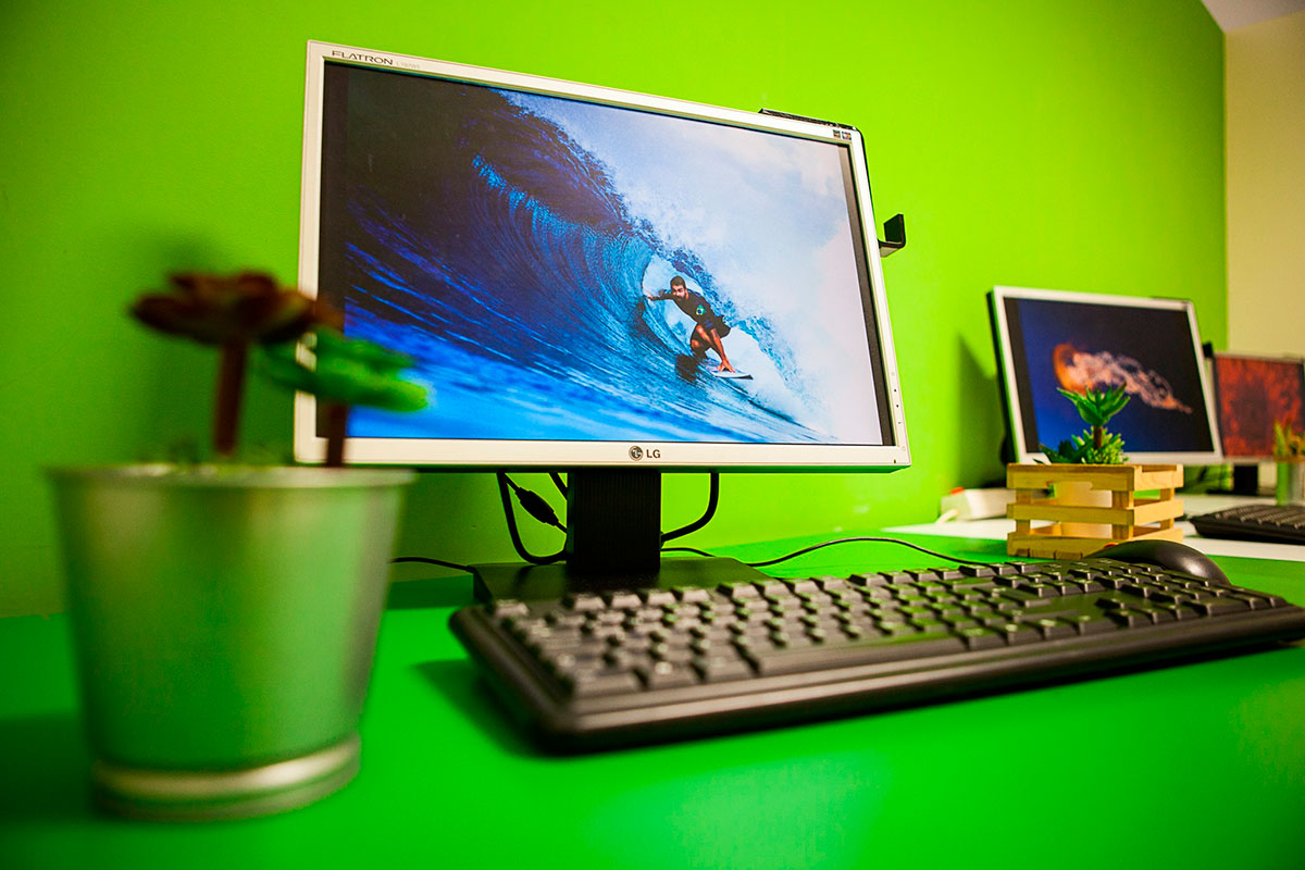 Interior of Nomads @Ericeira CoWorking space with workstations and green accent wall