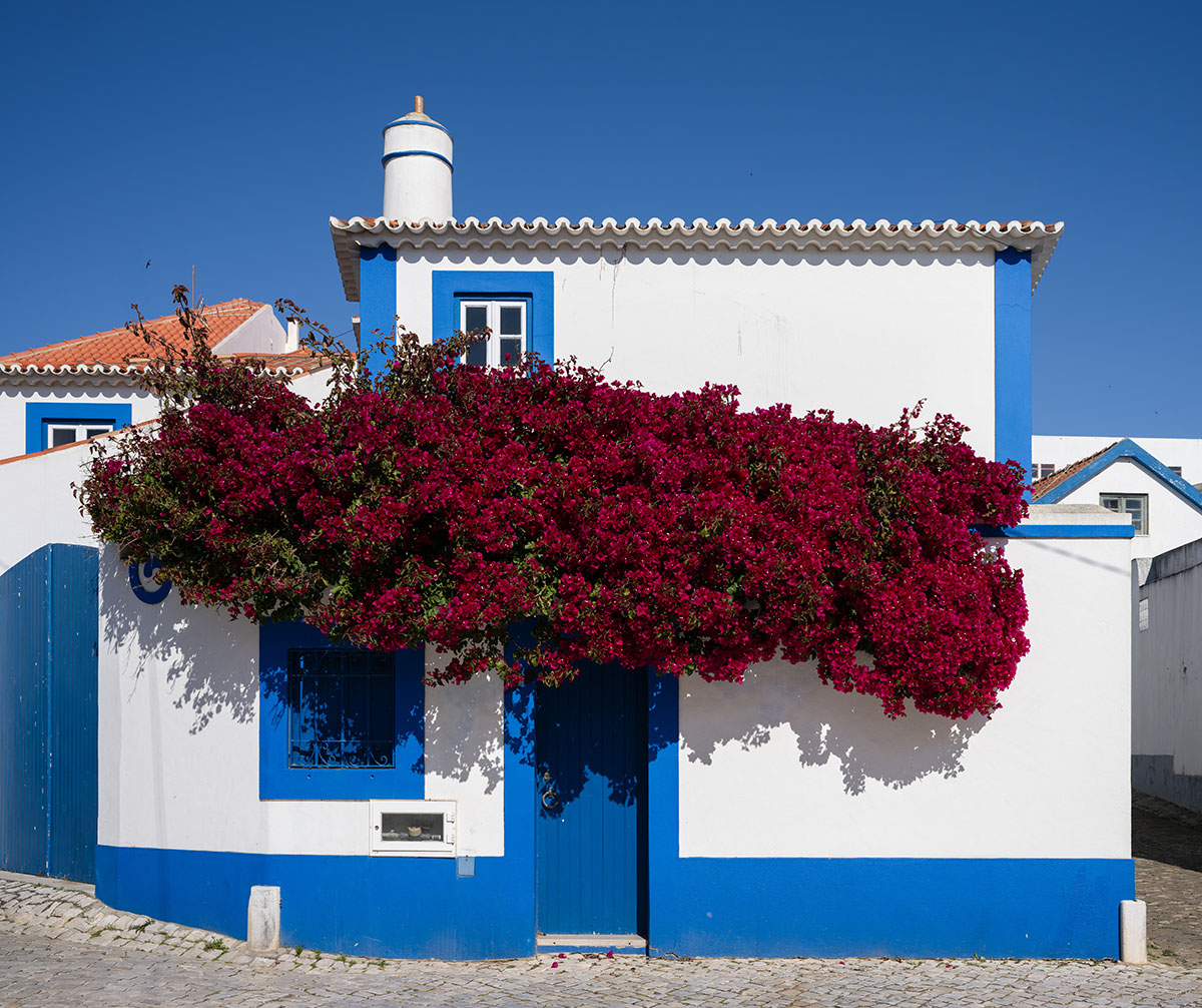 Typical white and blue house in Ericeira with cobblestone street and blooming flowers, evoking a peaceful village atmosphere