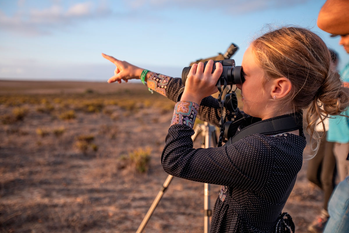 Birdwatchers observing migratory birds at the Algarve Birdwatching Festival