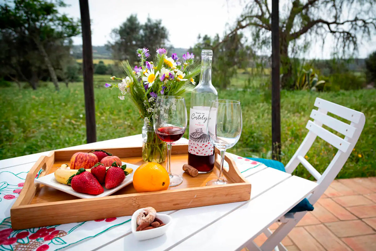 Vineyard at Monte da Casteleja near Lagos