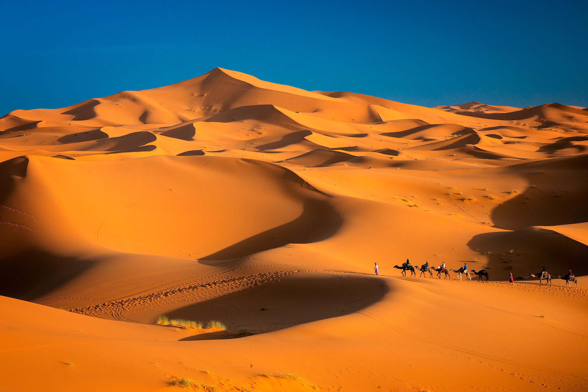 Merzouga, Marokko, Erg Chebbi, Sahara, Wueste mit Karavane 