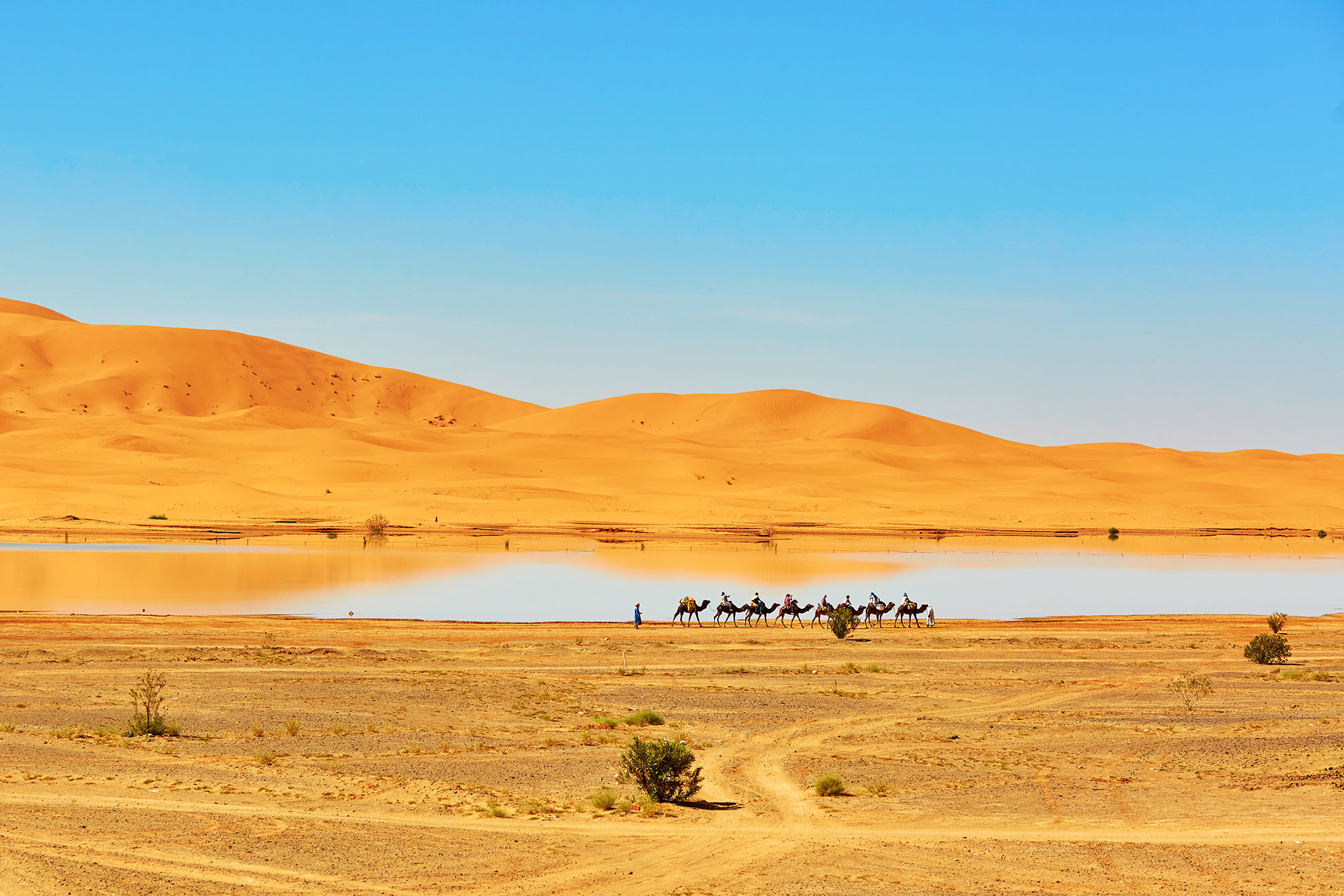Oasis lake in Sahara desert, Merzouga, Africa