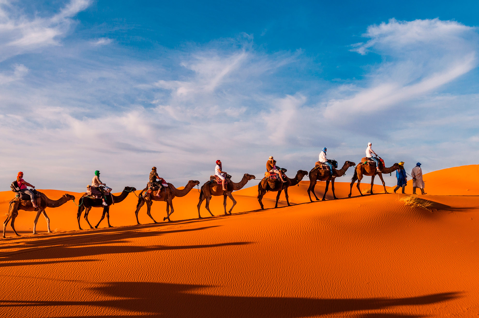 Caravan in the dunes of the Sahara near Merzouga (Erg Chebbi); Morocco