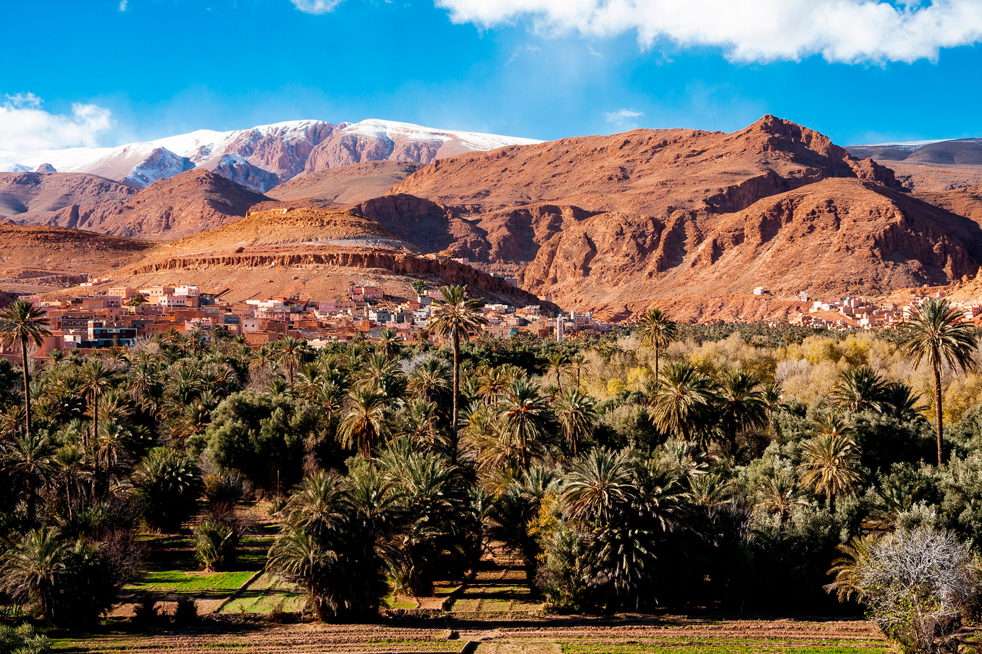 Oasis in the Dades Valley, also known as the Valley of the Roses, Morocco