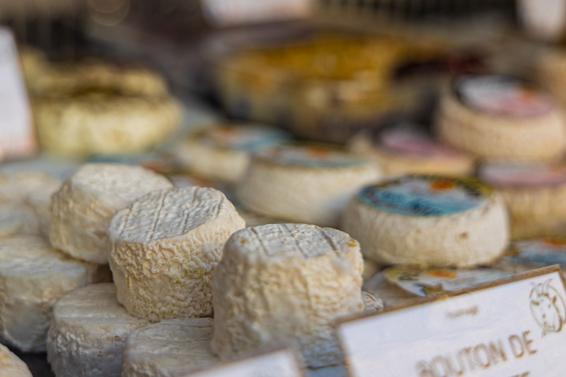Versailles France french cheese shop close-up