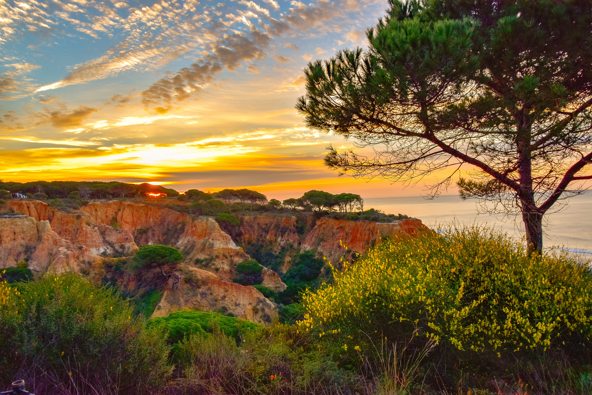 Golden sunset over the sea in Lagos, Algarve, Portugal — orange and pink sky reflected on the water