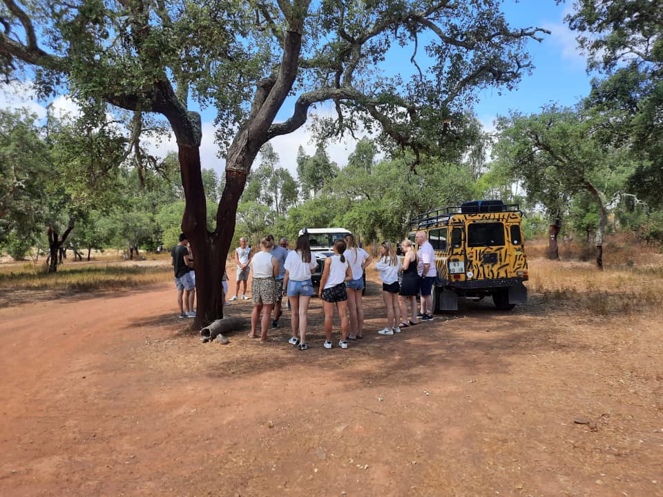 4x4 jeep on a dusty off-road track through the Algarve interior, cork oak forest in background
