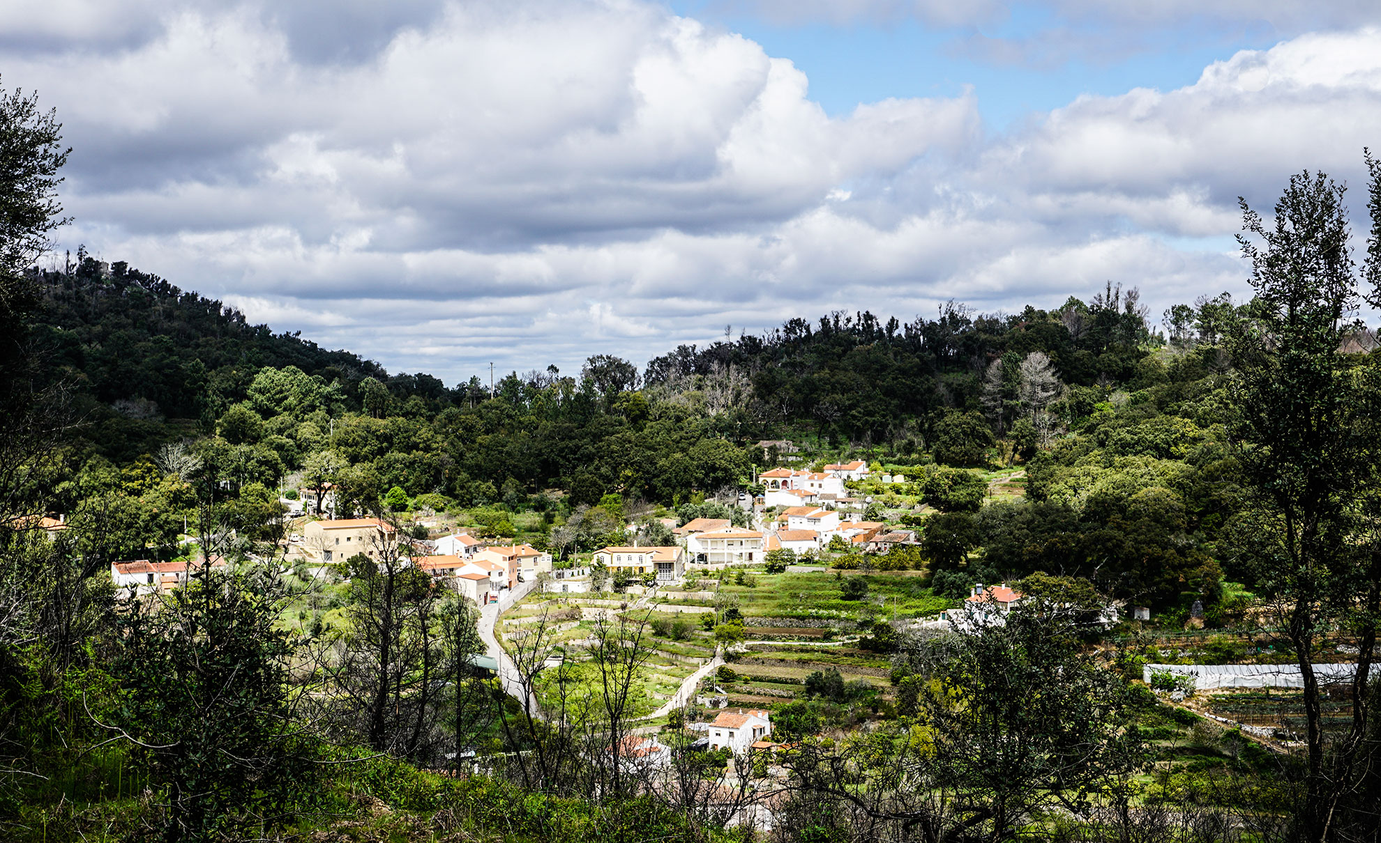 Serra de Monchique landscape in the Algarve interior, green forested hills and traditional village
