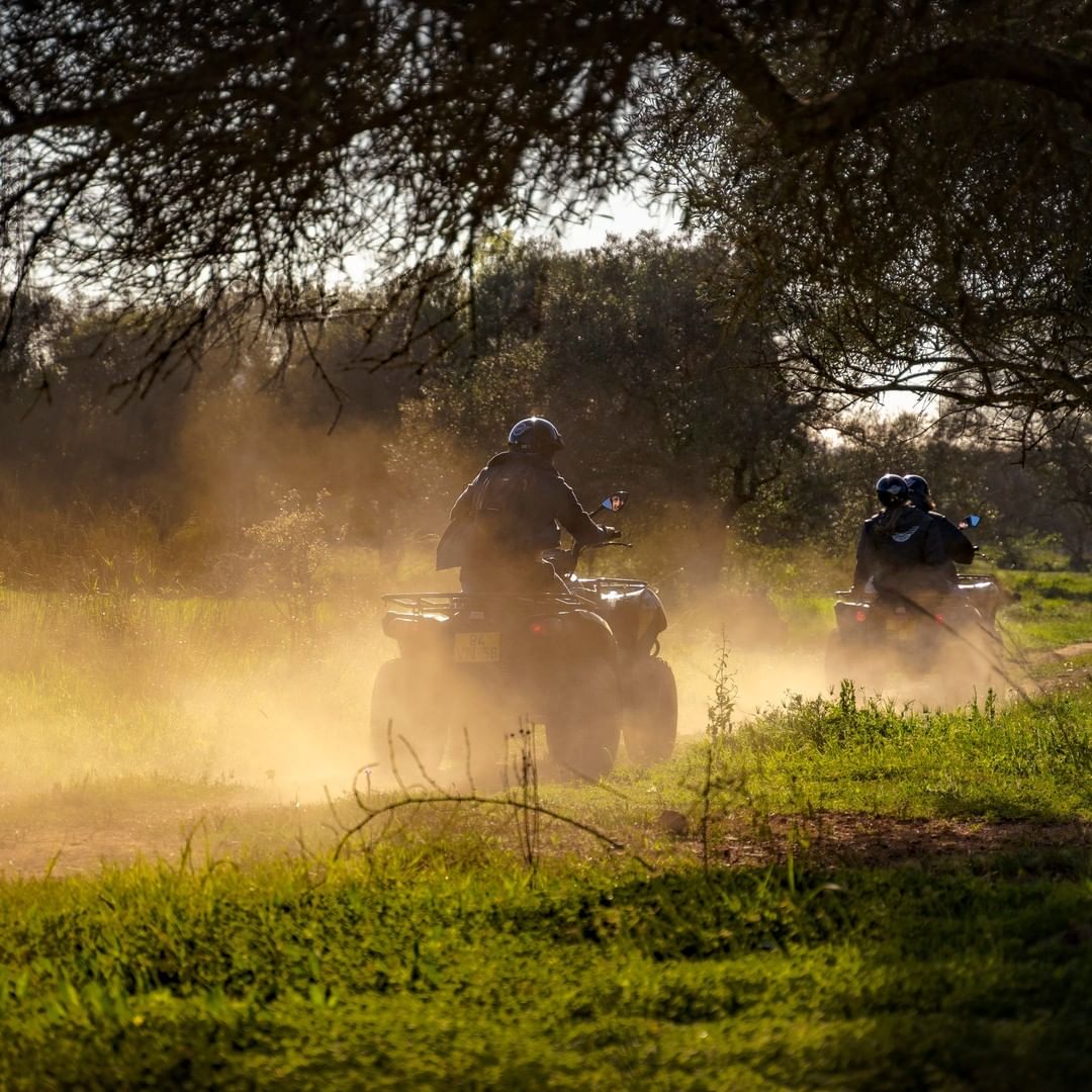 Buggy driving along a red dirt trail through cork oak woodland in the Algarve interior