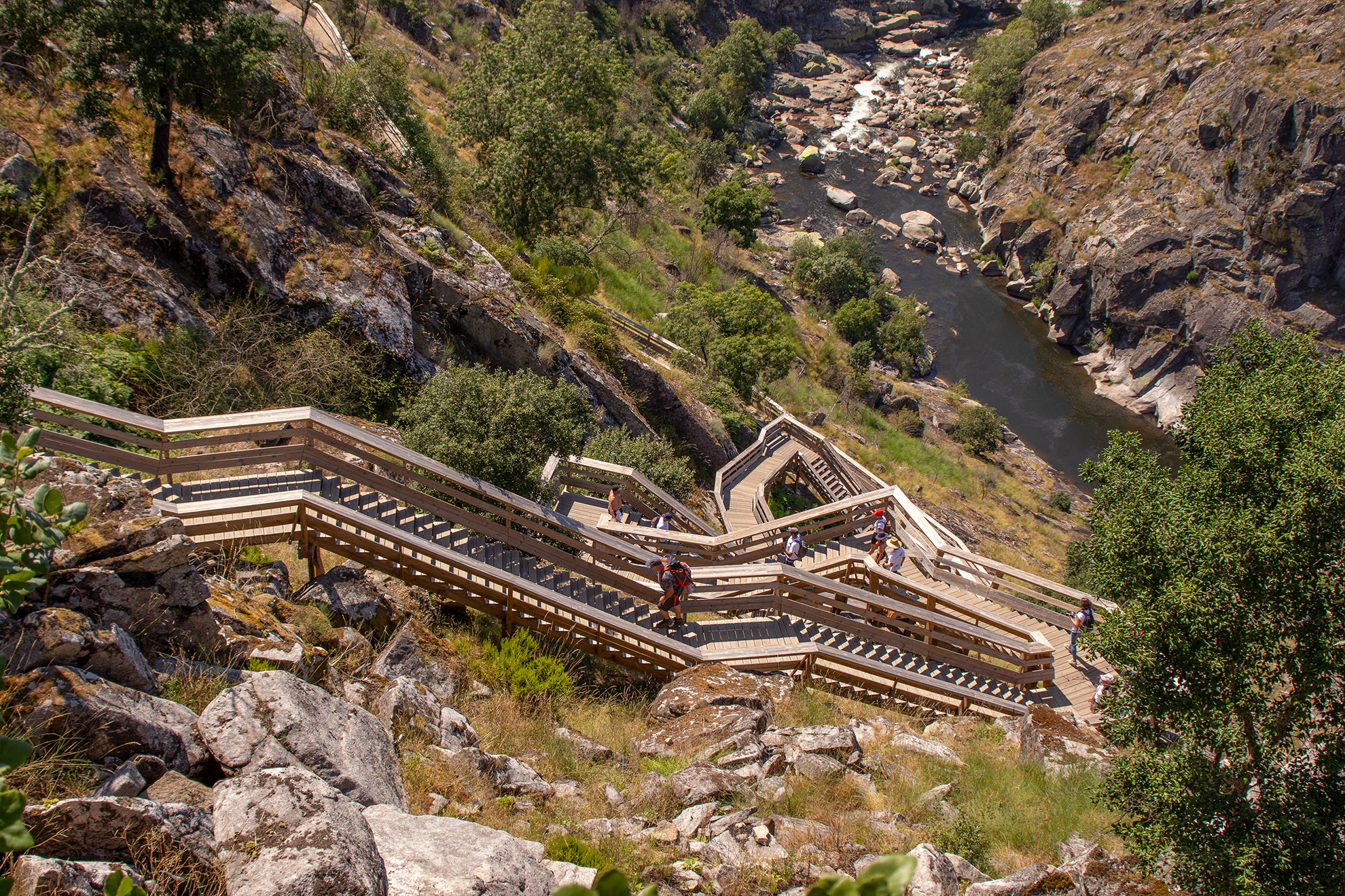 Wooden boardwalk of the Paiva Walkways winding along the riverbank