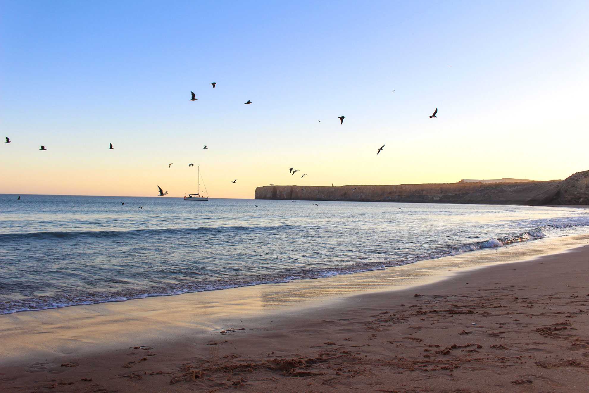 Birdwatcher scanning the Sagres coastline during autumn raptor migration