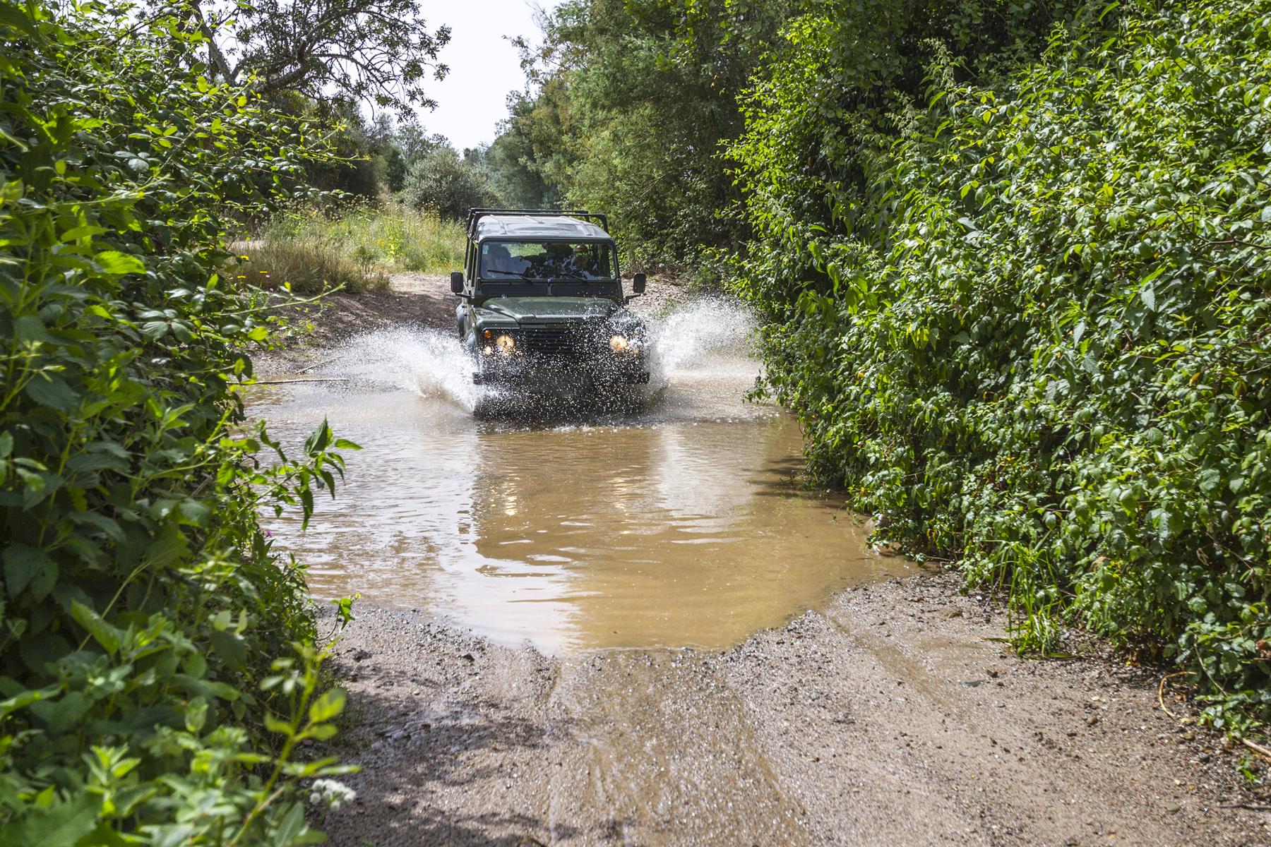 A 4x4 Jeep navigating rugged mountain trails through cork oak forests above Monchique