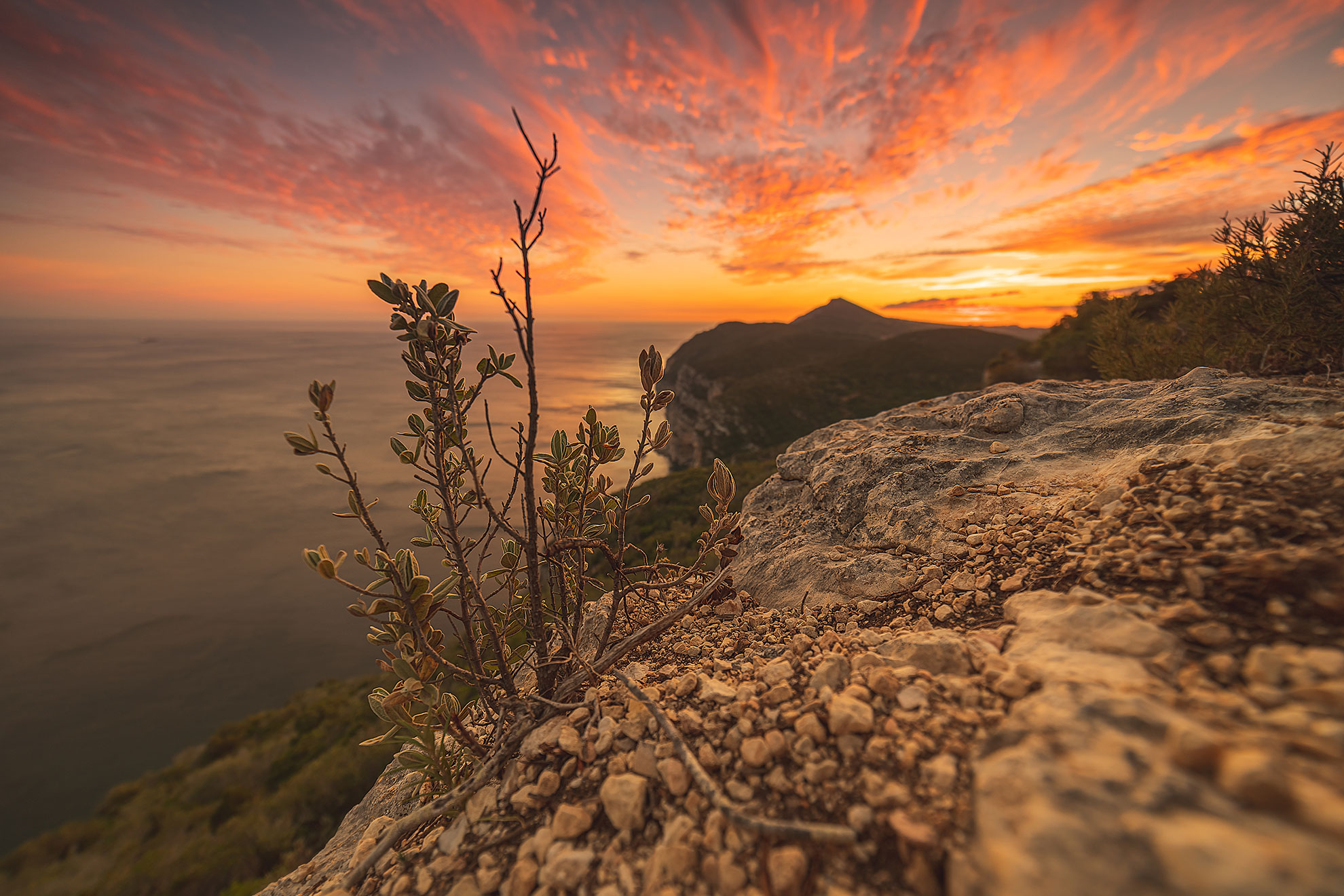 The Mediterranean forest of Arrábida Natural Park descending toward the Atlantic coast