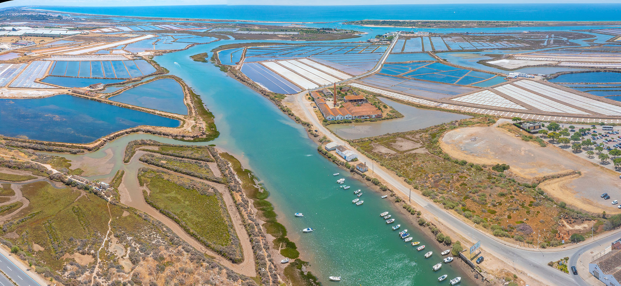 Flamingos wading in the Tavira salt pans at low tide