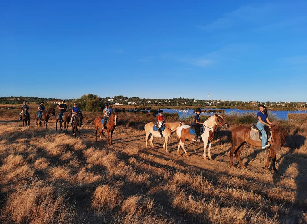 Horses walking along the reedy shores of Lagoa dos Salgados at golden hour