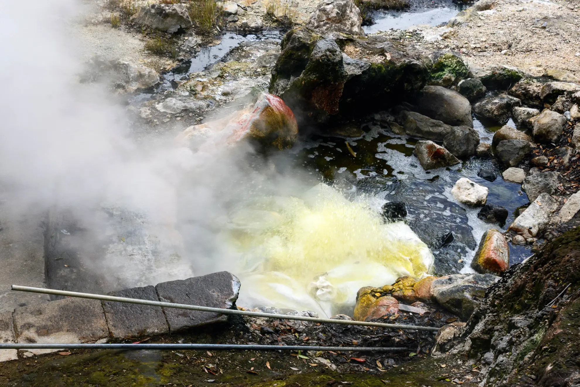 Geothermal corn cobs and volcanic tea alongside Cozido das Furnas on stone surface