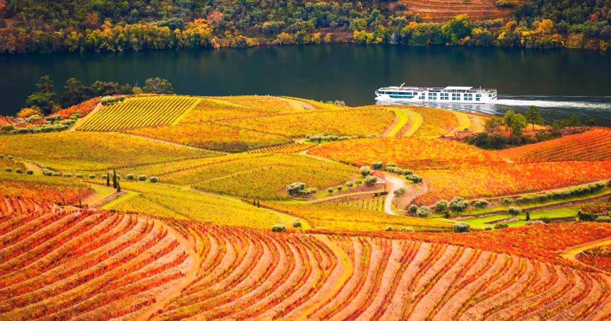 Terraced vineyards of the Douro Valley glowing gold under autumn afternoon light.