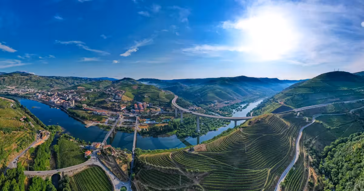 Terraced vineyards above the Douro River near Pinh&atilde;o at golden hour.