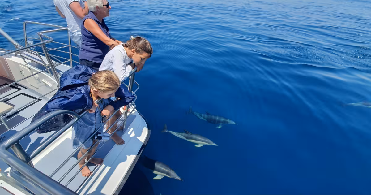 Bottlenose dolphins bow-riding alongside a boat off the Lagos coastline, Algarve.