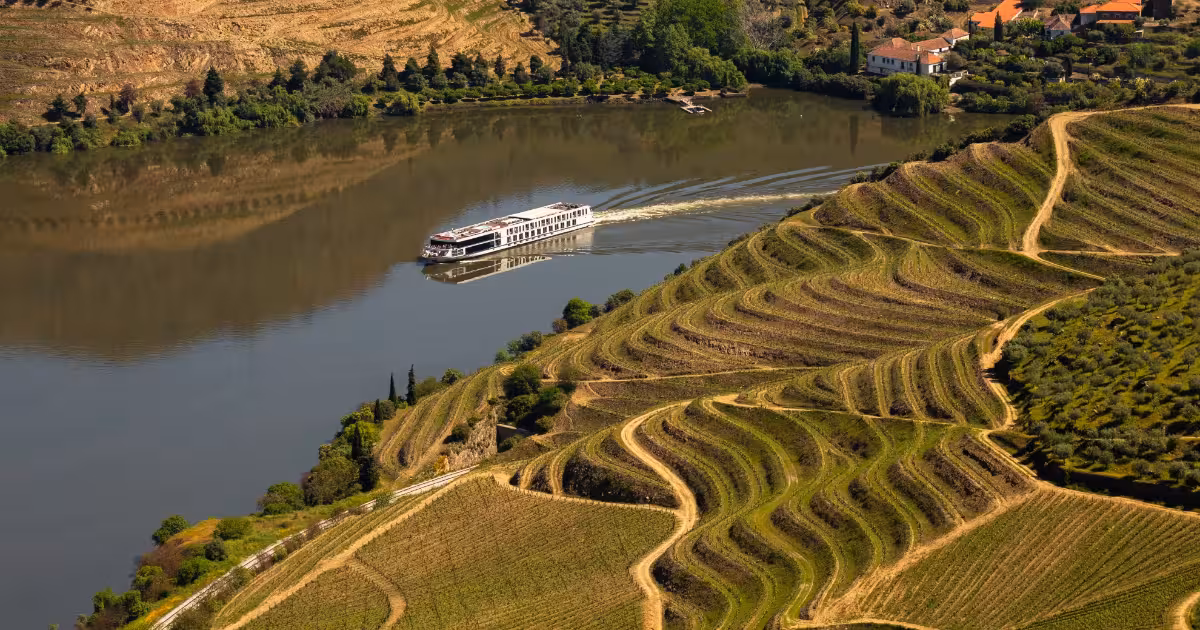 Terraced vineyards cascading toward the Douro River at golden hour, Portugal.