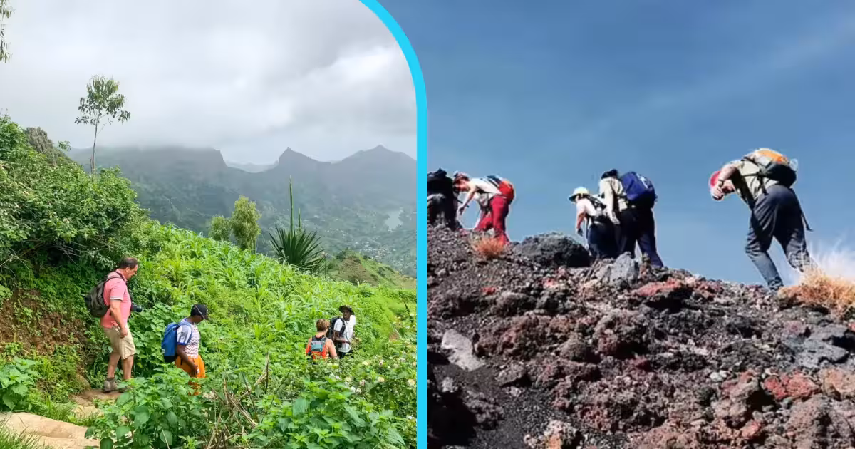 Split image of Cape Verde hiking — on the left a hiker descending a lush green trail through the cloud forest of Serra Malagueta Natural Park on Santiago Island, on the right a group ascending the stark volcanic cone of Pico do Fogo through black lava fields on Fogo Island