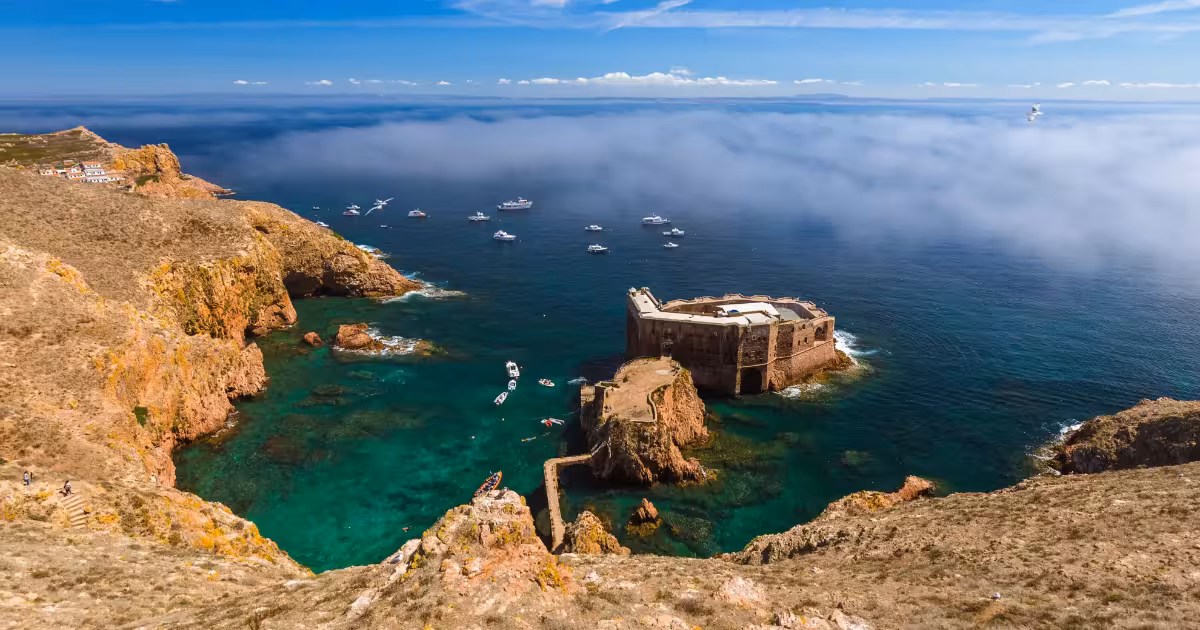 Vue aérienne d'Ilha Berlenga avec ses eaux turquoise et son littoral rocheux, Portugal.