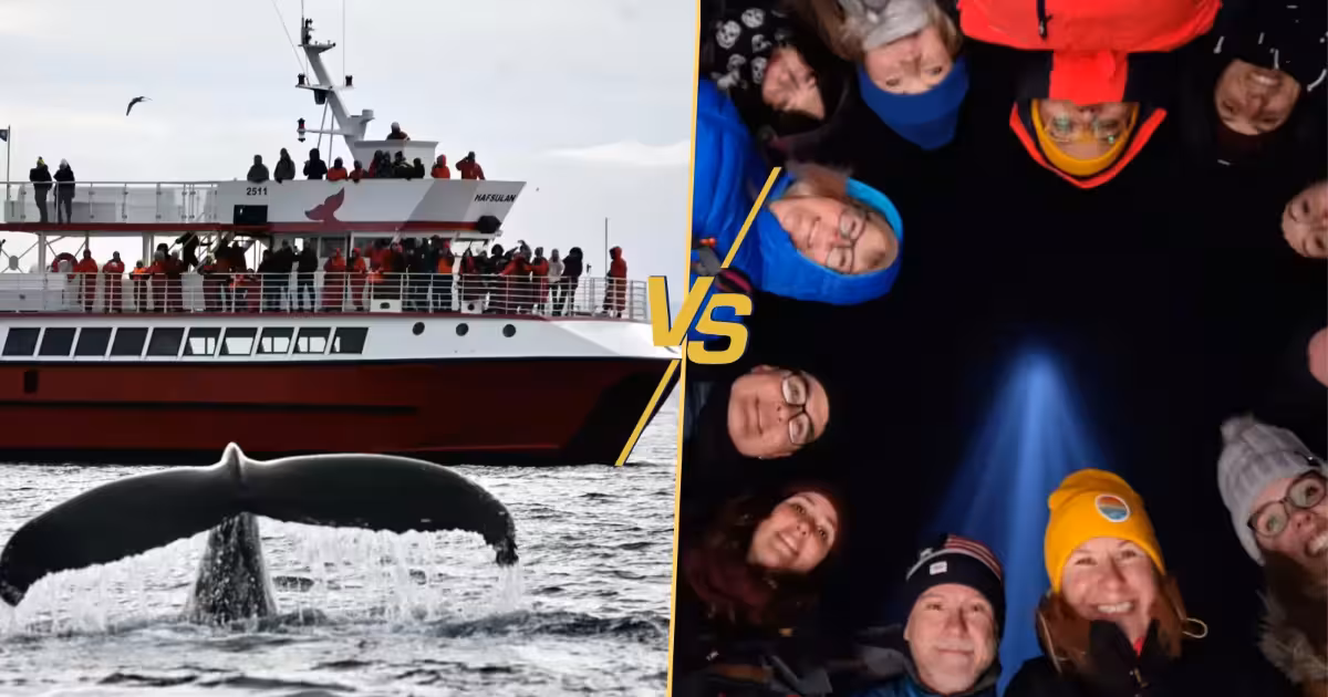 Whale watching and Viðey Island versus whale watching and puffins in Reykjavík — Faxaflói Bay wildlife and the Imagine Peace Tower on Viðey Island