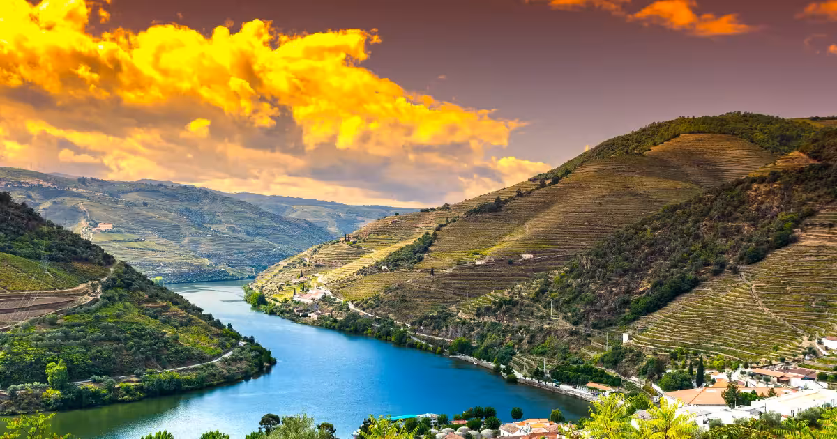Golden sunrise over terraced Douro Valley vineyards reflected in still river water
