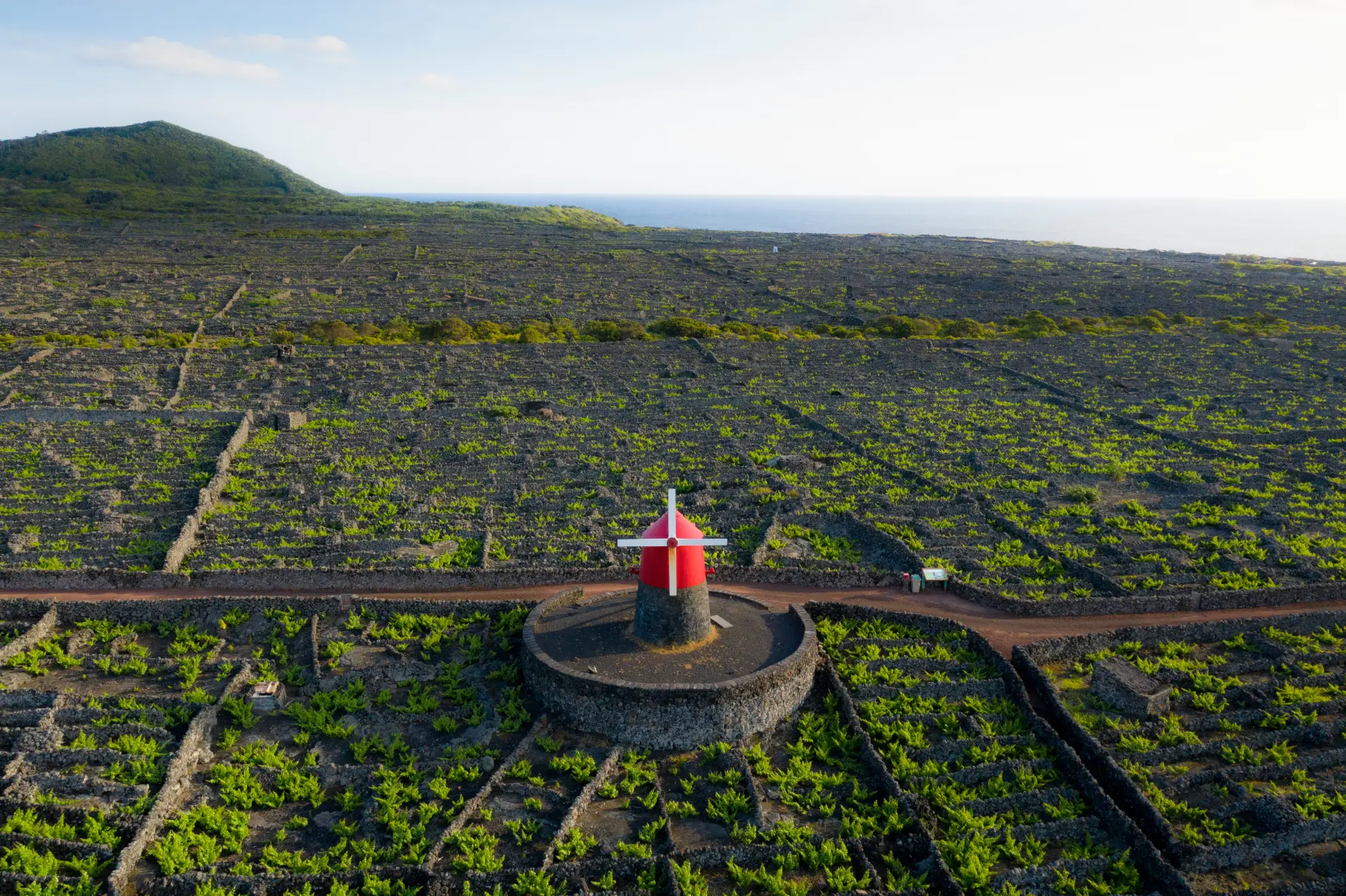 UNESCO-listed basalt currais vineyards on Pico Island with volcano rising behind
