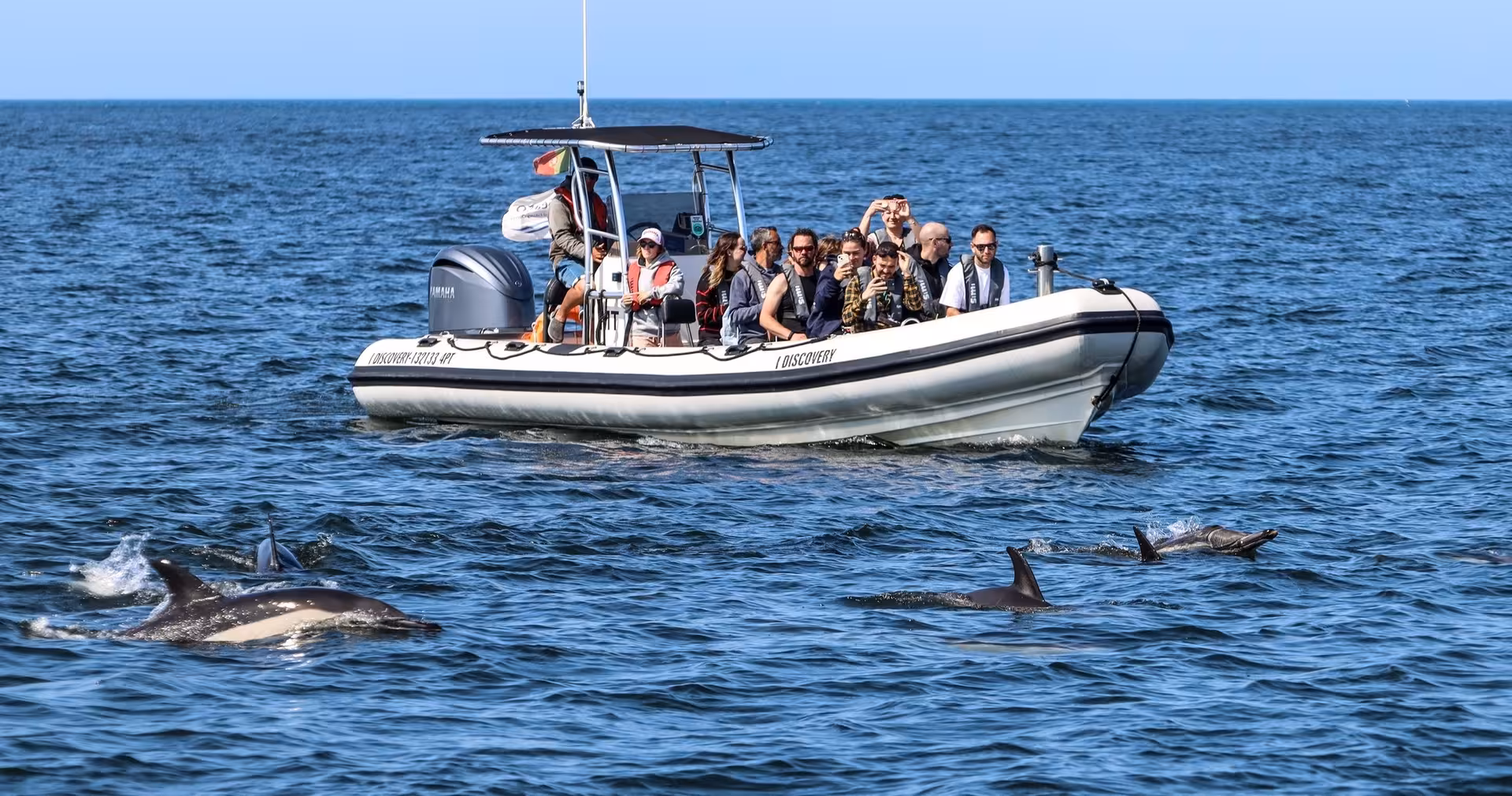 Marine biologist showing children dolphins from a tour boat in the Atlantic.