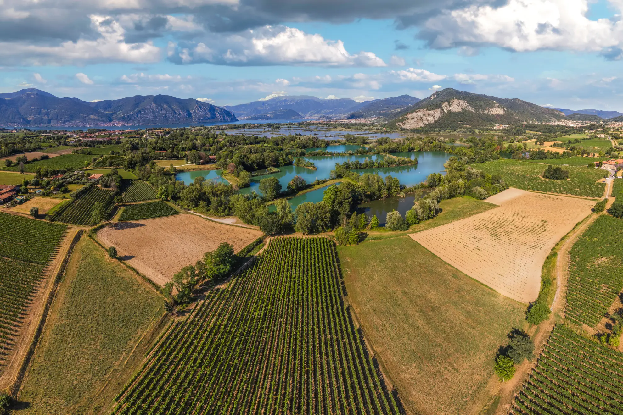 Franciacorta DOCG vineyards with Lake Iseo in the background, Lombardy.