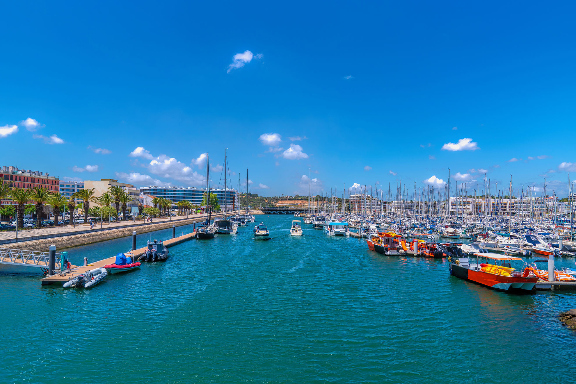 RIB wildlife boat departing Lagos marina at sunrise on calm Atlantic water