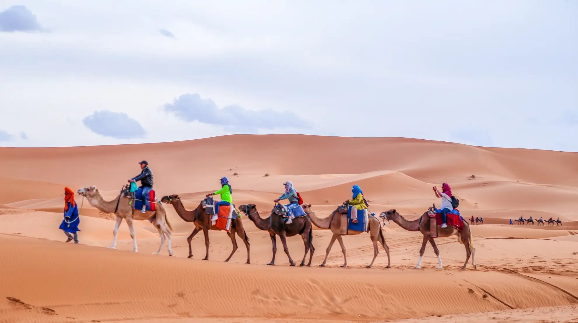 Camel caravan traversing Erg Chebbi sand dunes at sunrise in the Sahara.