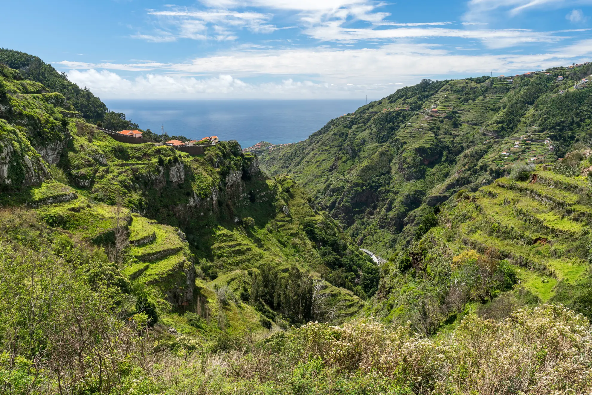Local guide and passengers overlooking Serra d'&Aacute;gua valley from a ridge road jeep stop.